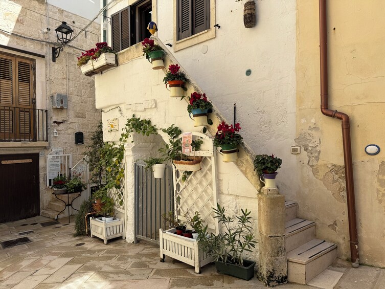 Polignano a Mare Walking Tour with Historic Sights & Sea Views