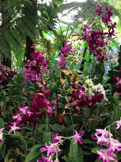 Private Kuala Lumpur Garden & Parks