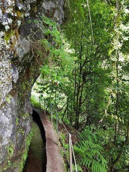 Private Service VIP Levada Caldeirão Verde Walk