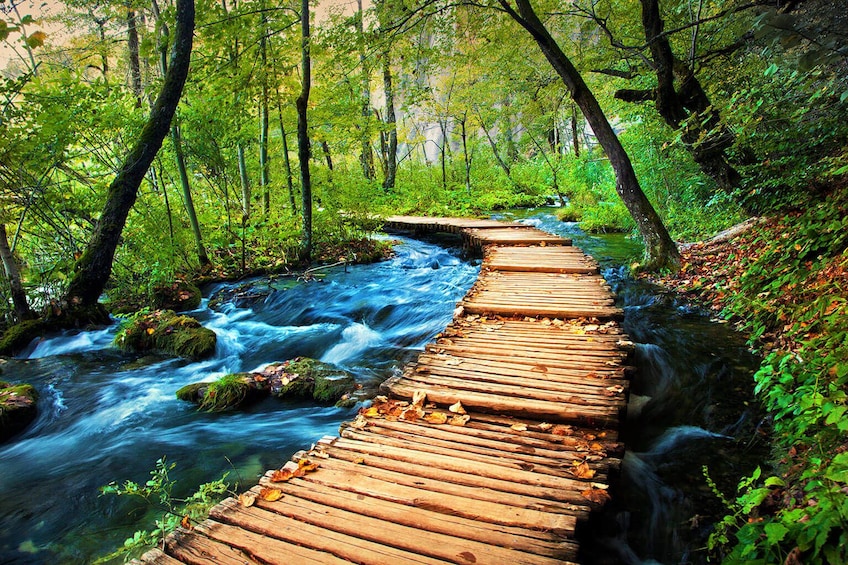Show item 4 of 5. Private Excursion to National Park Plitvice Lakes