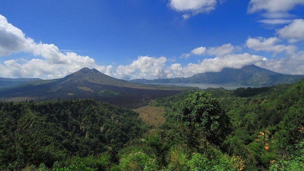 Show item 3 of 8. Private Tour: Bali Top Attractions
