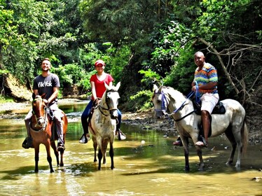Ecotourism Horseback Tour in San Basilio de Palenque