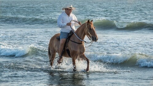 Beach horseback riding with Colombian Paso horses