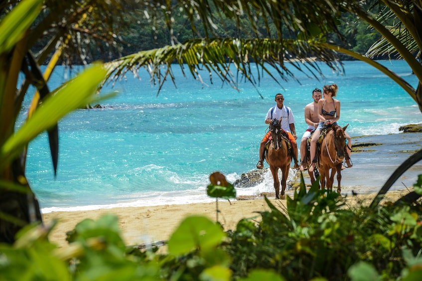 Tourists horseback riding on Playa Rincon in Dominican Republic