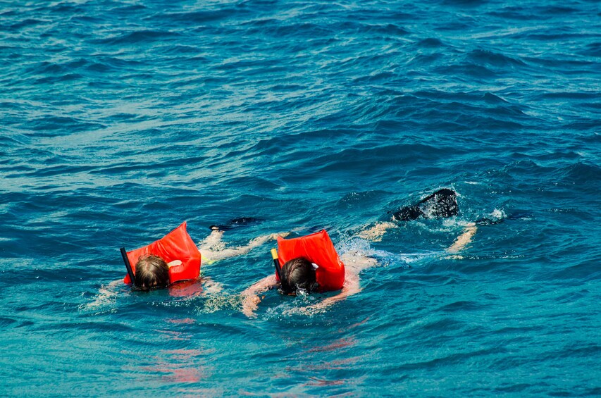 Group snorkeling in Catalina Island