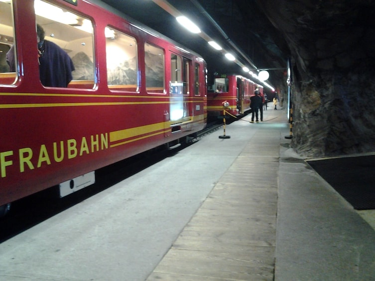 Jungfraujoch day tour with private tourguide - from Basel