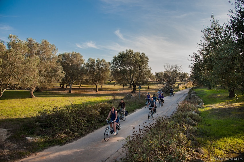 Bike Tour: Lecce and its natural environment 