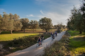 Bike Tour: Lecce and its natural environment