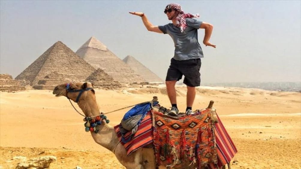 Man stands on camels back in front of Pyramids of Giza