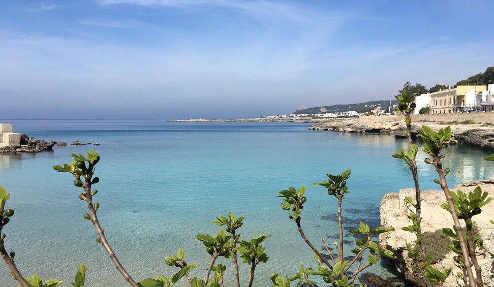 Bike Tour: Gallipoli, between land and sea