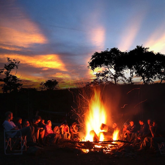 Sunset, S'mores, & Stars - Night Zipline