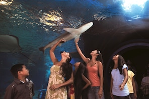 One-Day Maui Ocean Center Aquarium Admission