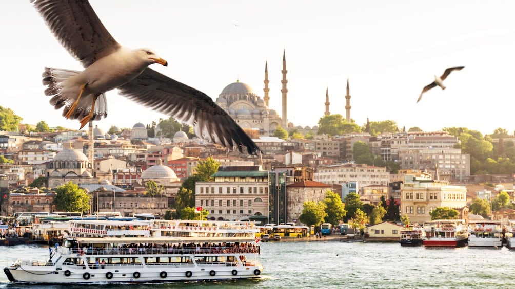 Anatolian Side of Istanbul - Skip the Line Tickets