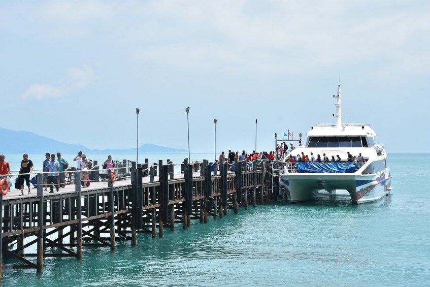 lomprayah catamaran koh samui