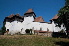 Private Tour to Viscri & Sighisoara from Brasov