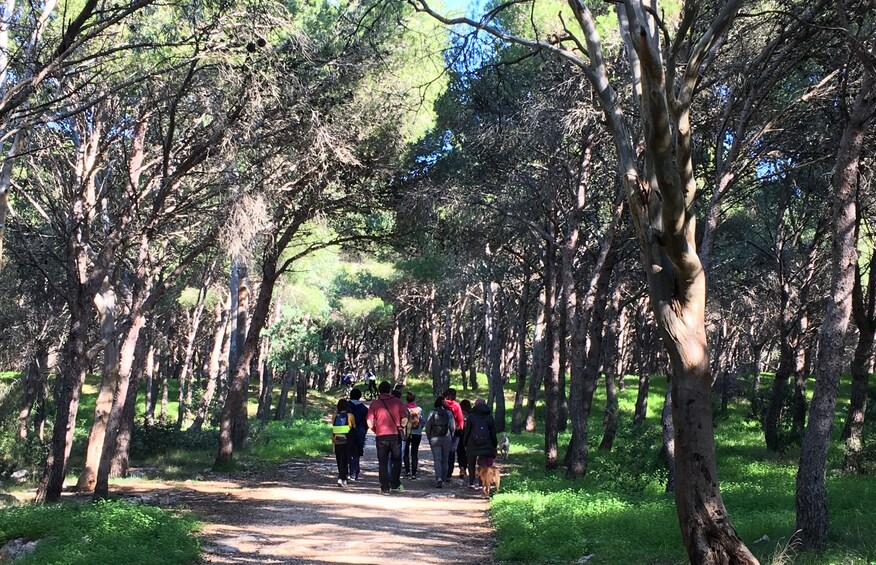 Walking Tour: Natural Park of Porto Selvaggio