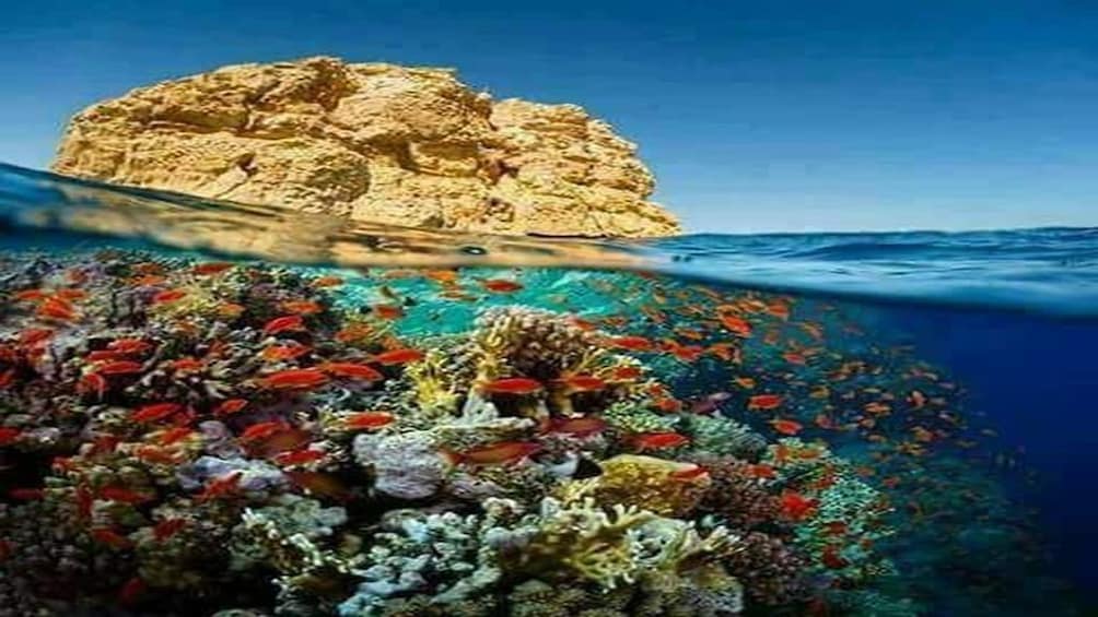Rock formation above water and coral reefs below at Ras Muhammad National Park in Egypt