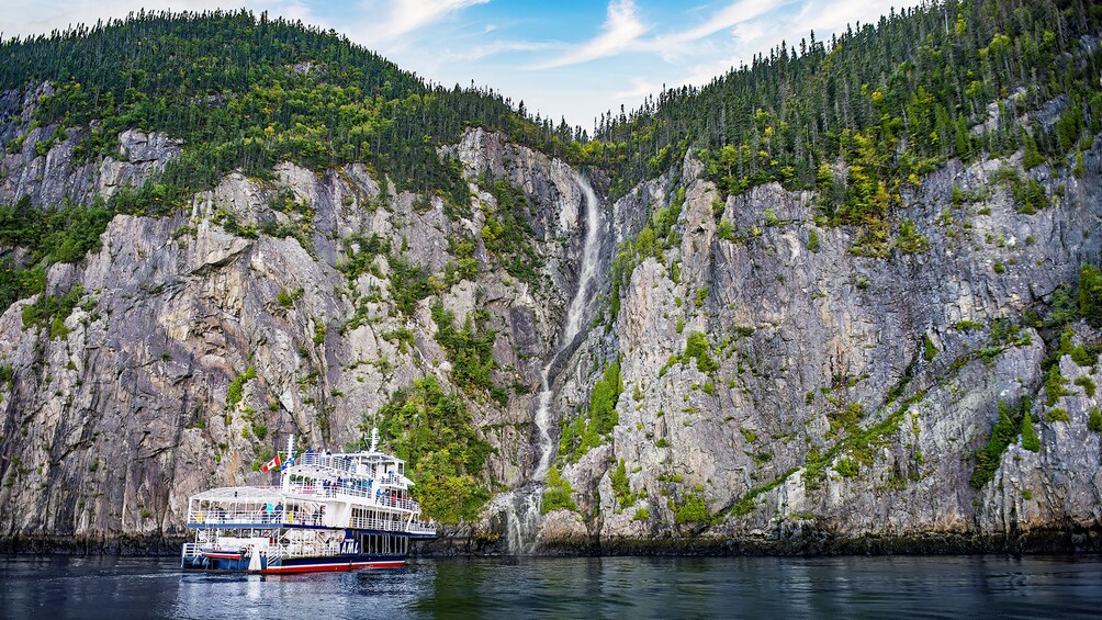 From Québec City: Whale Watching Tour Day Trip