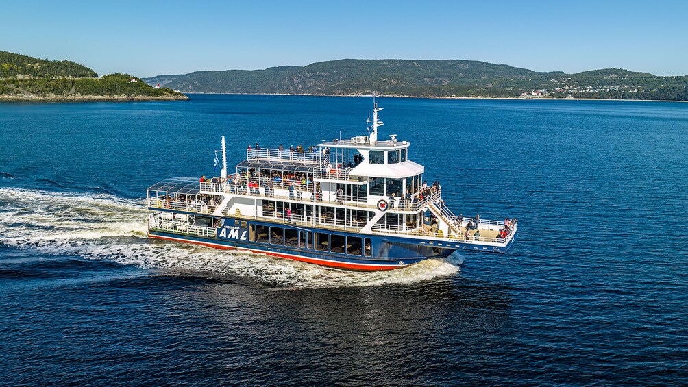 From Québec City: Whale Watching Tour Day Trip