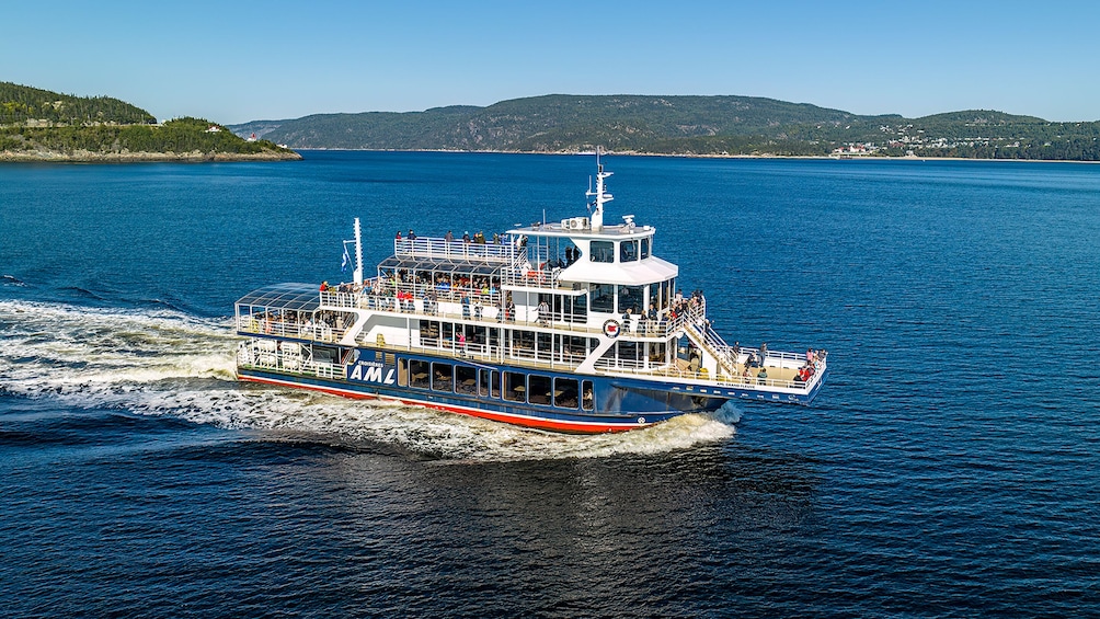 From Québec City: Whale Watching Tour Day Trip