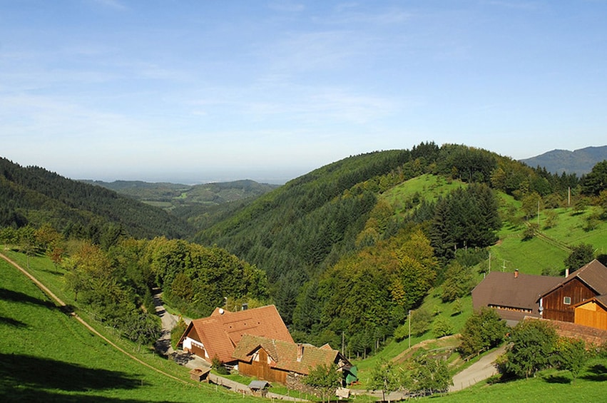 Panoramic view of Black Forest in Germany