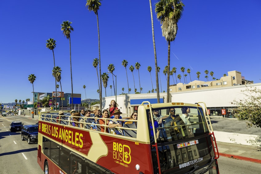 downtown los angeles bus tour