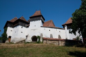 Day tour to Sighisoara & Viscri from Cluj