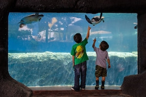 Behind-the-Scenes Tour with Aquarium Admission
