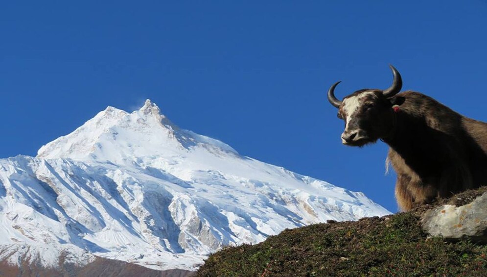 Manaslu Circuit Trek