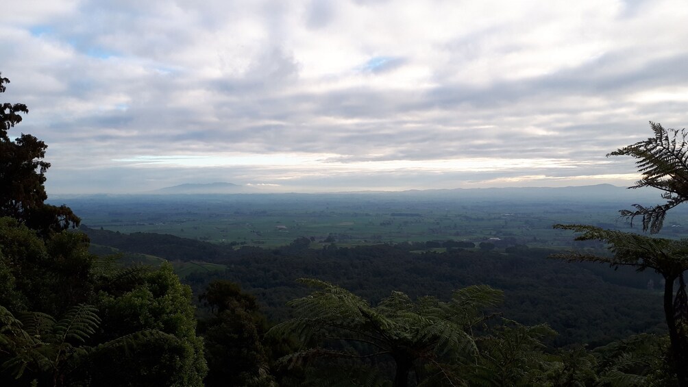 Show item 4 of 4. Hobbiton with The Green Dragon Inn & Tauranga Hot Spots