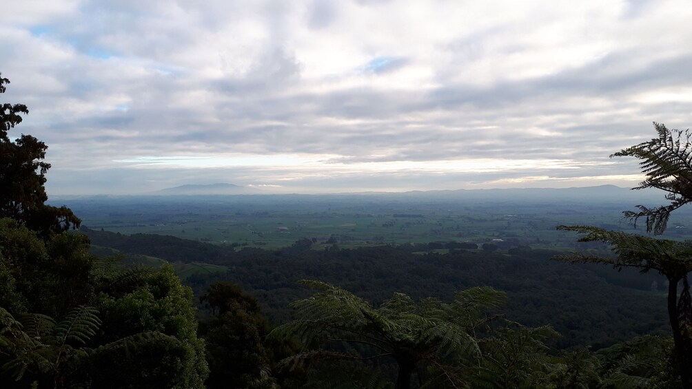 Hobbiton with The Green Dragon Inn & Tauranga Hot Spots