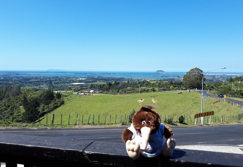Show item 3 of 4. Hobbiton with The Green Dragon Inn & Tauranga Hot Spots