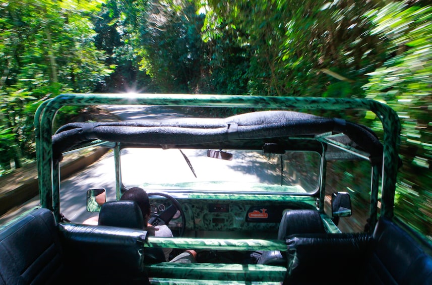 Jeep Tour Botanical Garden And Tijuca Rain Forest