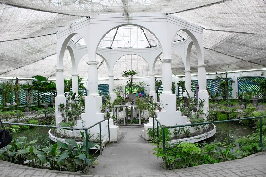 Jeep Tour Botanical Garden And Tijuca Rain Forest