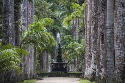 สวนพฤกษศาสตร์ Jeep Tour และป่าฝน Tijuca