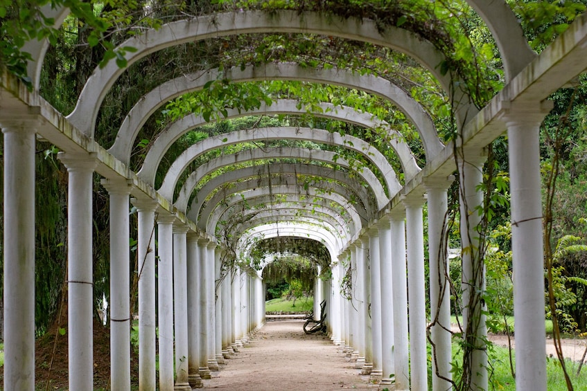 Jeep Tour Botanical Garden And Tijuca Rain Forest