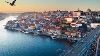 Full Day Guided Private Tour to Porto