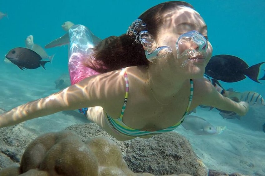 Mermaid Snorkel Tour and Photoshoot