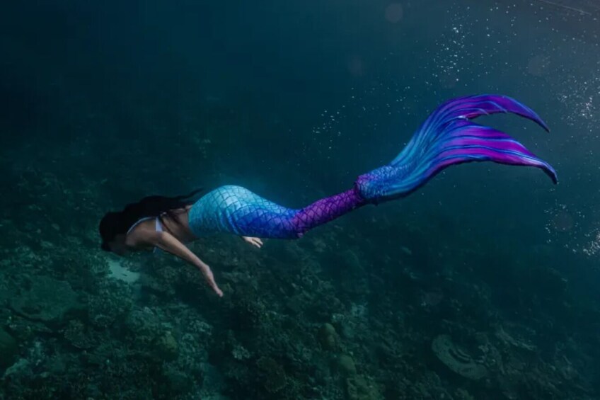 Mermaid Snorkel Tour and Photoshoot