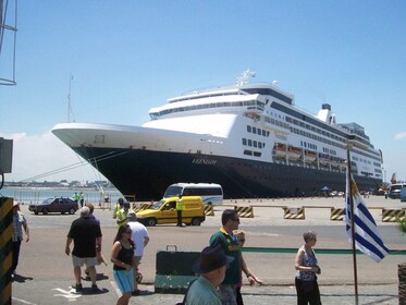 Highlights of Montevideo Half-Day Tour from Cruiseport