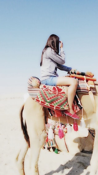 Qatar South Coast Tour With Camel Ride