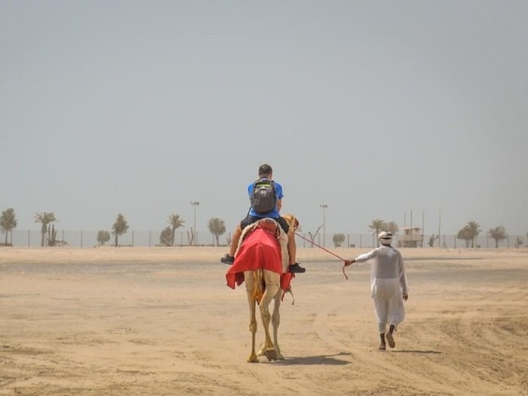  Qatar South Coast Tour With Camel Ride