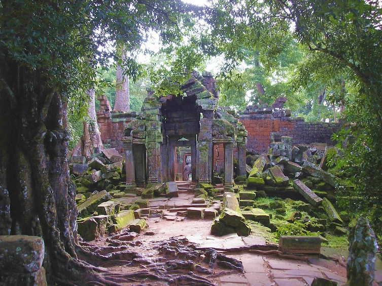 Ruins of Ta Prohm Temple in Siem Reap, Cambodia
