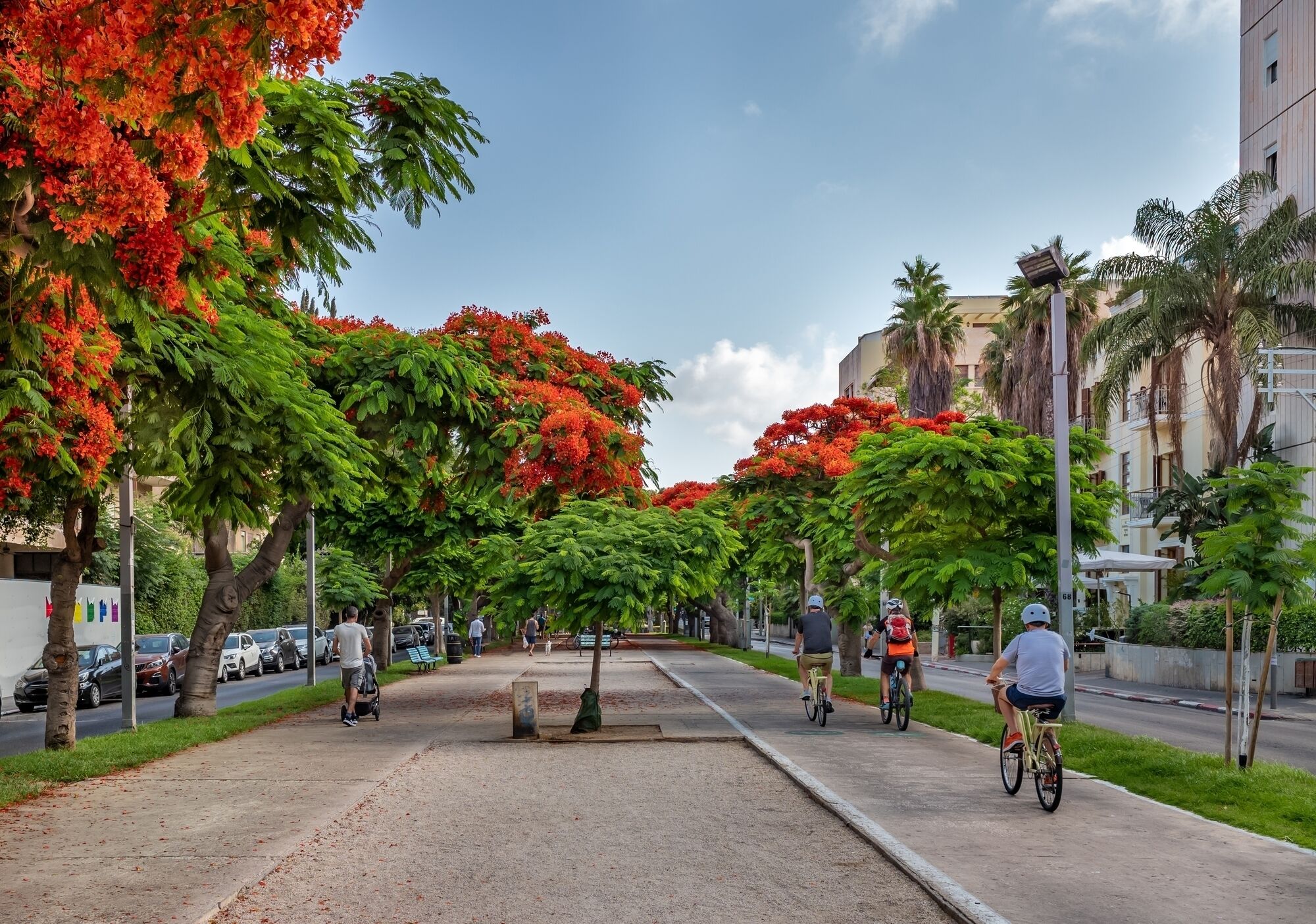 Tel Aviv & Carmel Market Day Tour