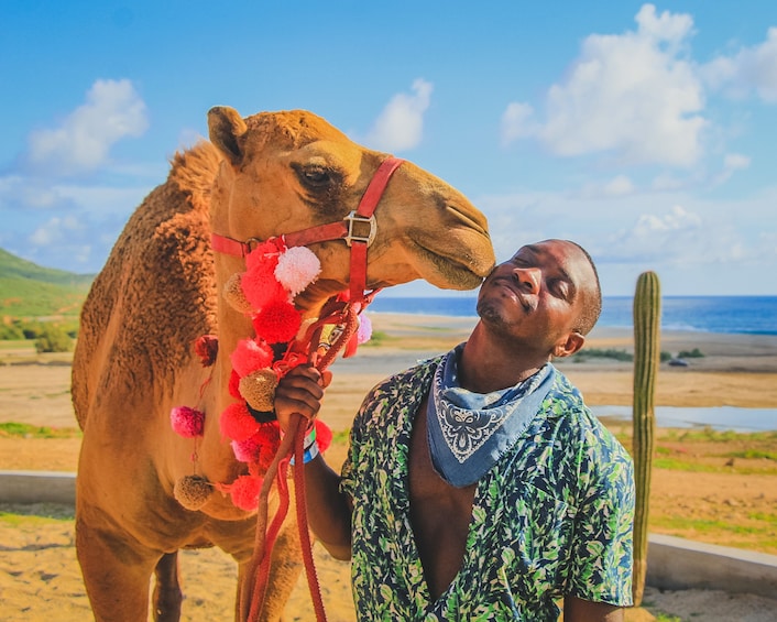 Camel Ride Adventure in Los Cabos 