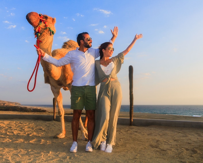 Camel Ride Adventure in Los Cabos