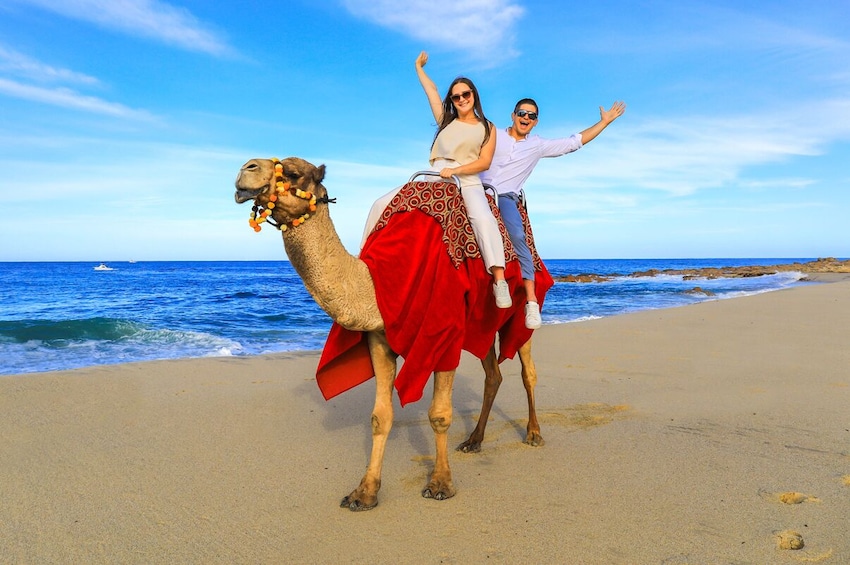Camel Ride Adventure in Los Cabos