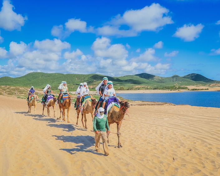 Show item 3 of 10. Camel Ride Adventure in Los Cabos