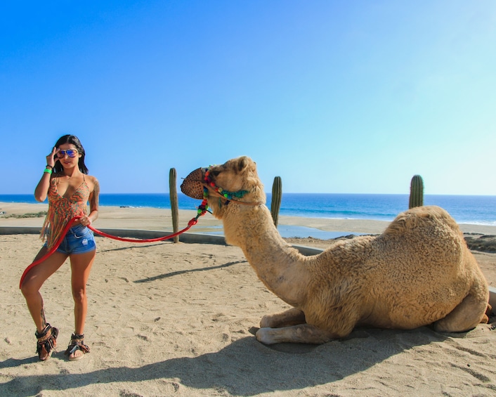 Camel Ride Adventure in Los Cabos