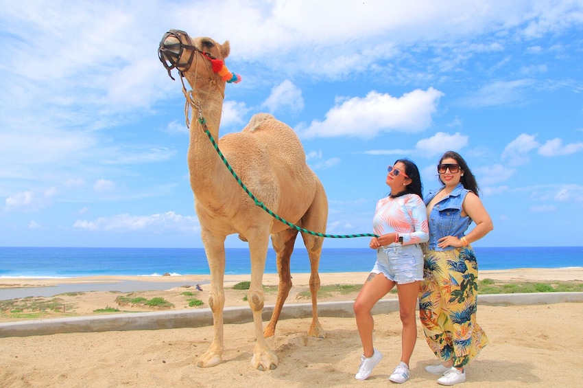 Camel Ride Adventure in Los Cabos 